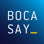 logo de la ssii Bocasay